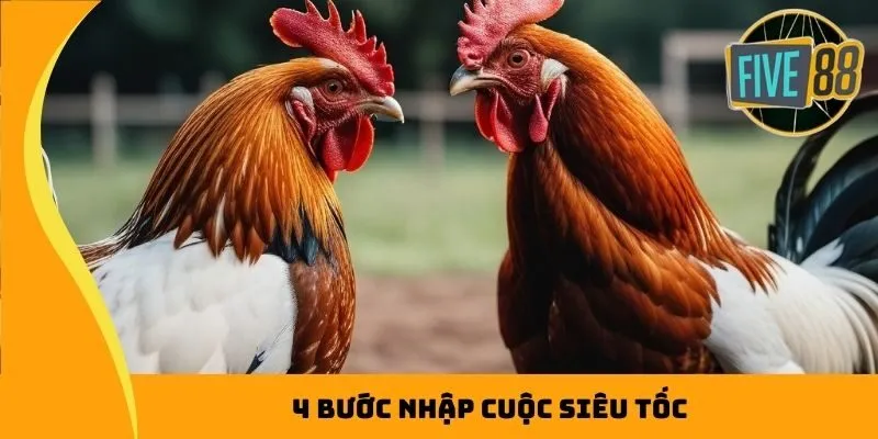 4 bước nhập cuộc siêu tốc