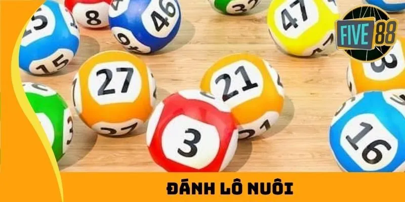 Đánh Lô Nuôi