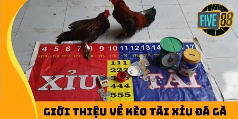 Giới thiệu về kèo tài xỉu đá gà