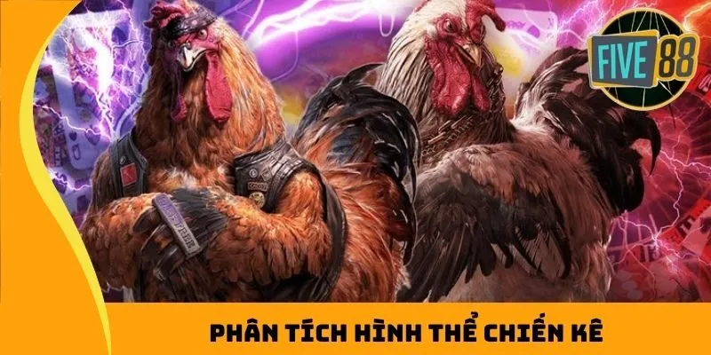Phân tích hình thể chiến kê