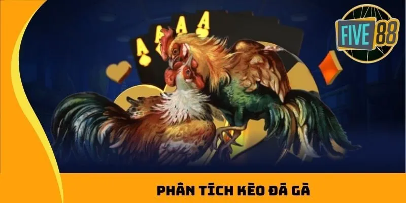 Phân tích kèo đá gà