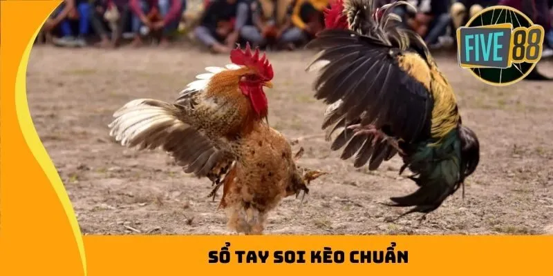 Sổ tay soi kèo chuẩn