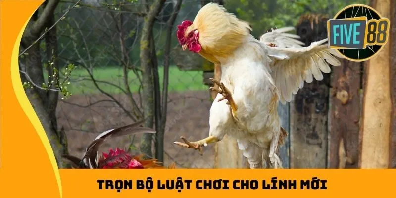 Trọn bộ luật chơi cho lính mới
