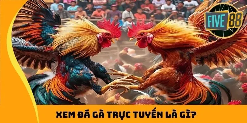 Xem đá gà trực tuyến là gì?